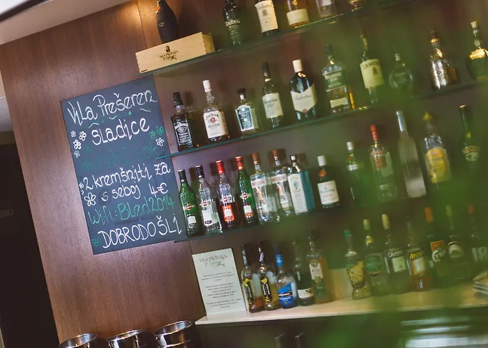 ゲストハウス ペンツィオン プレシェレン